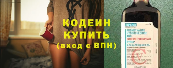 крисы Елизово