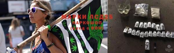 крисы Елизово