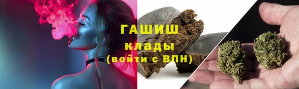 крисы Елизово