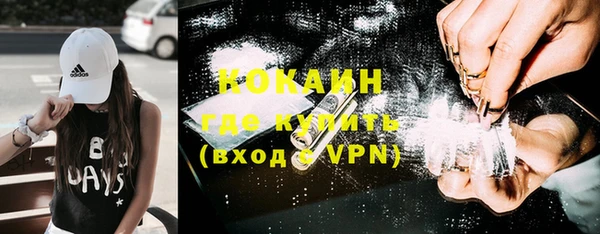 крисы Елизово