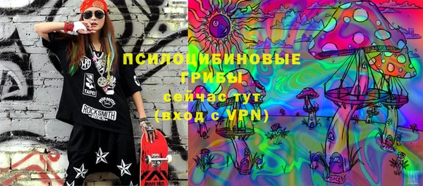 крисы Елизово
