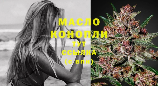 крисы Елизово